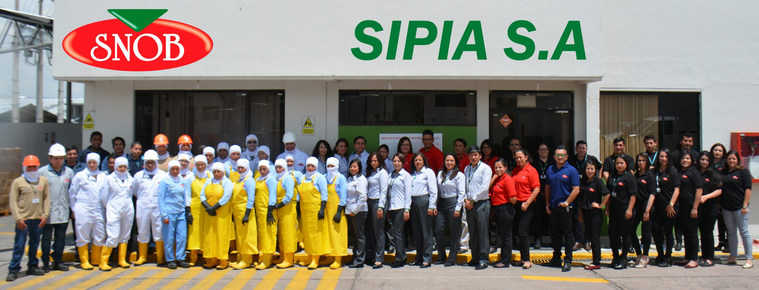 Equipo Alimentos SNOB - SIPIA S.A.